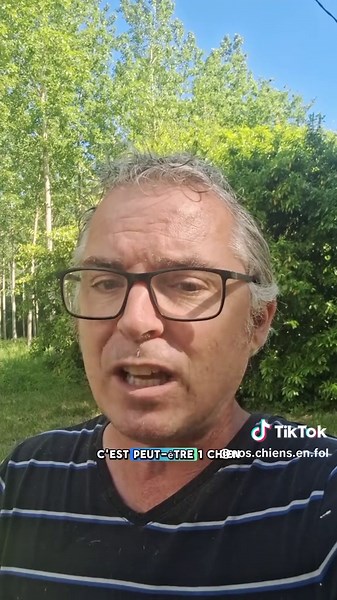 Un chien qui insiste, réclame ou s’agite ne fait pas forcément “un caprice”. Mais tout n’est pas un besoin profond non plus. Le plus difficile, c’est souvent de comprendre ce que le chien essaie réellement d’obtenir… et ce qu’on lui a appris sans le vouloir. #comportementcanin #educationchien #besoinsduchien #noschiensenfolie
