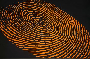 What Are the Duties of a Forensic Specialist?