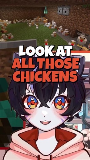 What are they gonna do with all those chickens?
