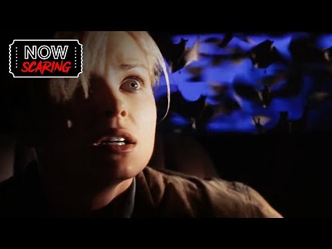 Bats (1999) | Swarms of Killer Bats