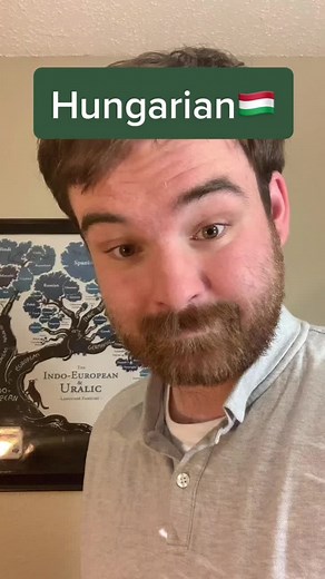 Exploring Hungarian Language Cases: A Linguistic Journey