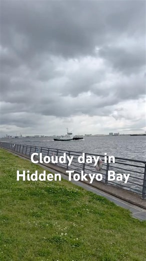 Gray Skies over Odaiba | A Moody Walk by Tokyo Bay #tokyo #nature