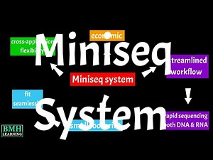 Illumina Miniseq System | MiniSeq |