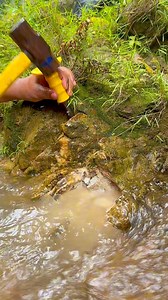 Crazy,😱 Gold found in a chunk of quartz rock worth $500,000 #goldrush #discovery #goldnugget #quartz #goldprospecting #golddiscovery #GoldInvestment | Nepri Andries