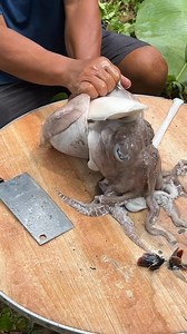 12K views · 477 reactions | Interesting 樂 cuttlebone removal ! #seafoodrecipe #seafood #highlights2025 | Niann Lim Parcon | Facebook