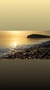NÆR-Langeland Poetisk charity musikfestival 2024 Broløkke Herregård #langeland De Vildeste Fugle - et socialt initiativ Shores Langeland EventC Langeland Nyt Langeland Sammen Destination Langeland | Michael Falch