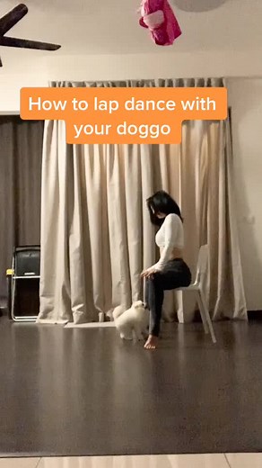 How to Lap Dance with Your Doggo: Step-by-Step Guide