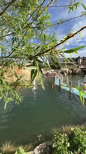 Say goodbye to stress and hello to relaxation with a stay at The Springs Resort. Book your room today: www.pagosahotsprings.com | The Springs Resort