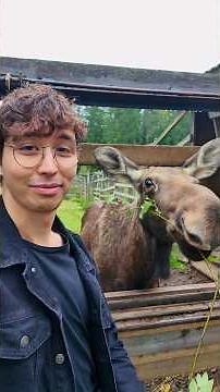 Lakko turistina Jämsässä!