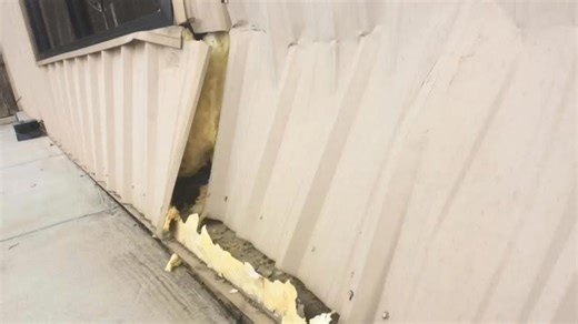 MiniFarm BARNS, LLC on Reels