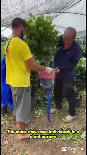 Securing Potted Plants with Plastic Nets