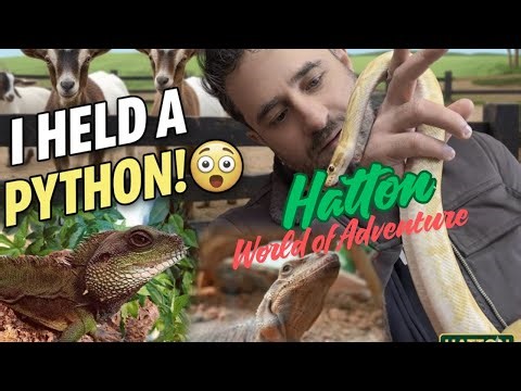 Holding a Python at Hatton Adventure World 😱 | Family Vlog Part 1