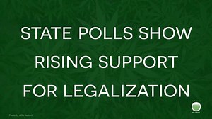 This November, many states will vote on whether to legalize marijuana for medical or adult use — and the latest polls show support for reform is rising! | Marijuana Majority