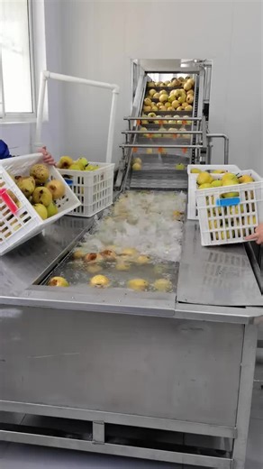 Stainless Steel Conveyor and Chain Plate Solutions