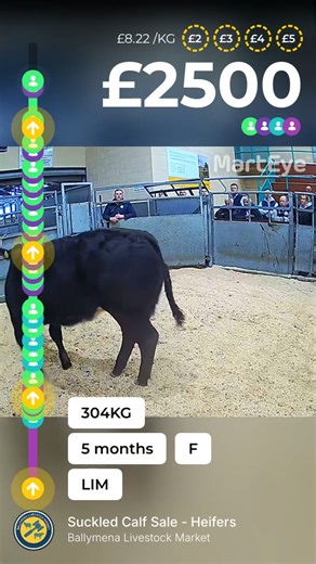 9.6K views · 21 reactions | Ballymena Livestock Market on Reels | Facebook