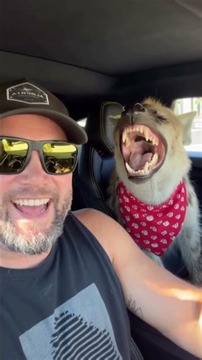 Eddie says he will never get bored of my dad jokes