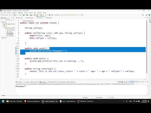 Computer programing II - Lab 3 - Polymorphism