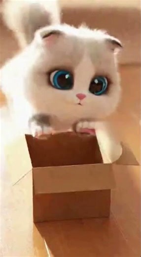 「子猫が箱に入ろうとして大失敗w守ってあげたい😂」#子猫 #猫の失敗 #かわいい動物 #funnycat #cutecat #猫動画 #癒し系 #ペット失敗 #バズれ #猫スタグラム #viral