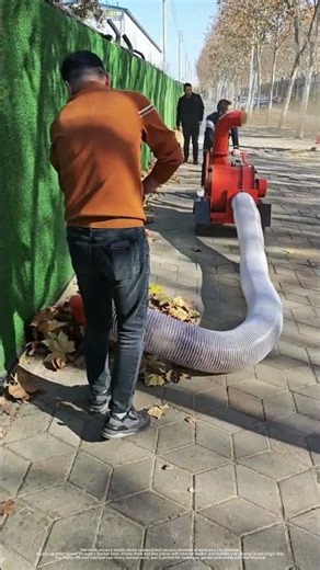 Cleaning Up Fallen Sidewalk Leaves | All-In-One Machine Sucks, Shreds And Clears In A Single Pass