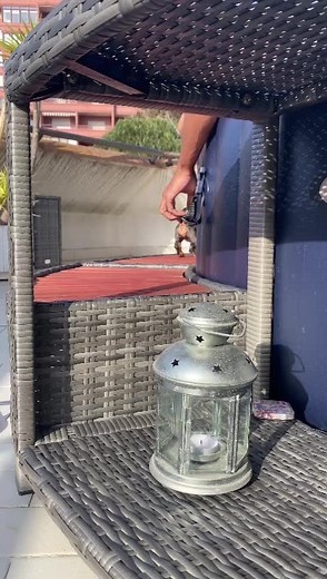 #TikTokBonus #dog #teckel #teckelpuppy #teckellove