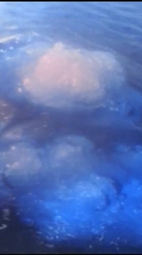 28K views · 997 reactions | Enter The Dragon Zord Apperance #powerrangers #gogopowerrangers #hasbro #powerrangersmightymorphin #powerrangersbeastmorphers #powerrangersdinocharge #powerrangersdinothunder #powerrangersdinofury #powerrangerszords #jasondavidfrank | The Megazord Ultimate Rangers | Facebook