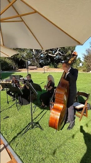 Elite String Quartet - Wedding Cocktail Hour #decpacito #strings #stringquartetcover