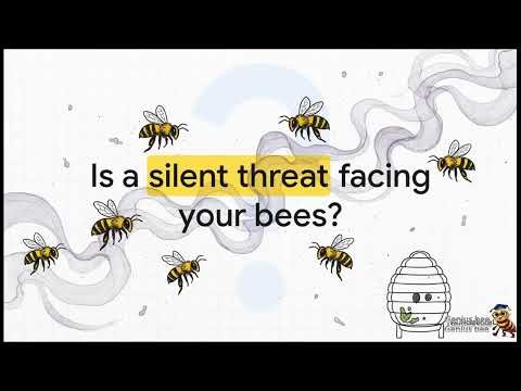 Nosema: Control & Treatment