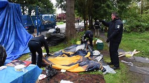 4.7K views · 45 reactions | mapleridgenews.com on Reels | Facebook