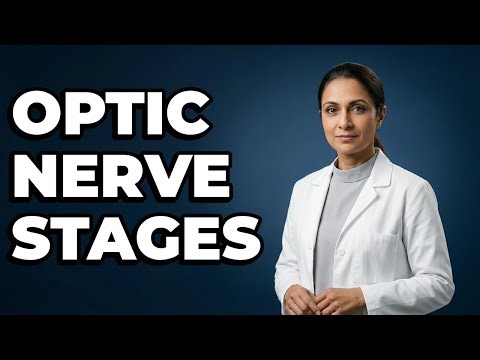 What Are The Key Stages Of Optic Nerve Development?
