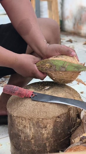 Kelapa Segar dan Manfaatnya