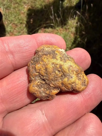 Minelab GPZ 8000: Detector de Oro Prospección