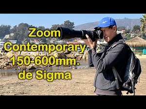 Sigma 150-600mm Zoom Contemporary Photography Tutorial 208