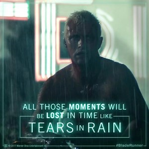 119K views · 1.5K reactions | In honor of its 35th Anniversary, Blade Runner: The Final Cut is on sale on iTunes this weekend! | Warner Bros. Entertainment | Facebook