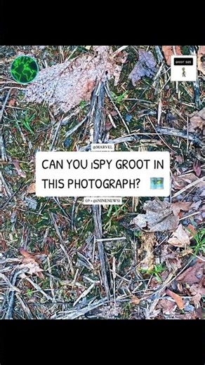 NATURE MEME 🗺️ • #mothernature #naturenews #naturephotos #memesvideo #memes #ispy #groot #freegames
