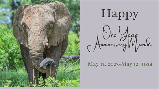 87K views · 3.6K reactions | A Year in the Life of Mundi - May 12, 2023 - May 12, 2024 | Elephant Aid International | Facebook