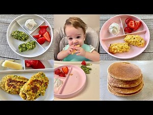 Freezer Friendly Baby Led Weaning Recipes – Prep Ahead!