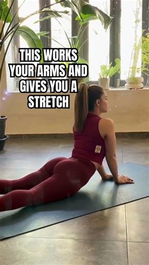 My favourite tricep exercise and you don’t need equipment! Do these high reps!