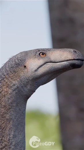 Prehistoric Dinosaur Hub on Instagram: "For a long time, the origin of dinosaurs remained one of paleontology’s biggest mysteries. That began to change in 1993 with the discovery of Eoraptor lunensis in Argentina’s Ischigualasto Formation—one of the earliest known dinosaurs, dating back about 231 million years. Scientists still debate whether Eoraptor was a primitive theropod or a more general saurischian, but either way, it marked a turning point in understanding how dinosaurs first evolved. No
