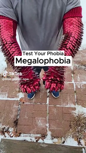 Confronting Megalophobia: Understand Your Fears