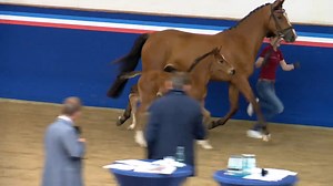 22K views · 1.2K reactions | ✨ Keaton (2016) by Kannan X Contendro I...