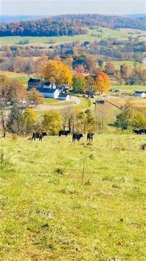 Sky Meadows