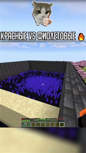 КРАСНЫЕ vs ФИОЛЕТОВЫЕ в майнкрафте #minecraft #мем #shorts
