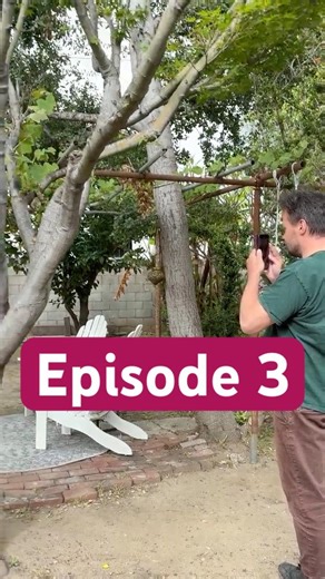 THE HIVE - EPISODE 3: We Are Here