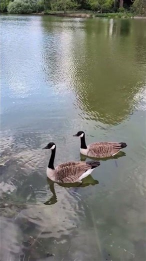 IA Pilote des Planeurs sur Titan ! 🚀 Exploration Spatiale Révolutionnaire