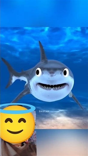 “The Wasp Injector Knife — The World’s Most Dangerous Blade?”#facts #shots