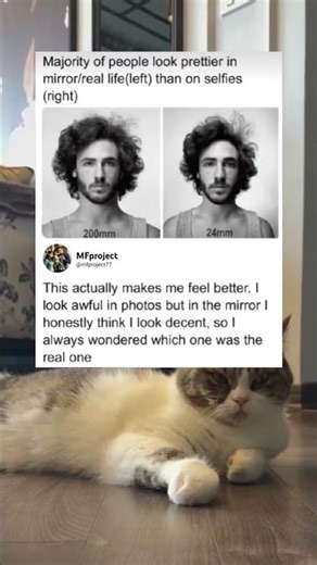 Why you look different in selfies vs real life