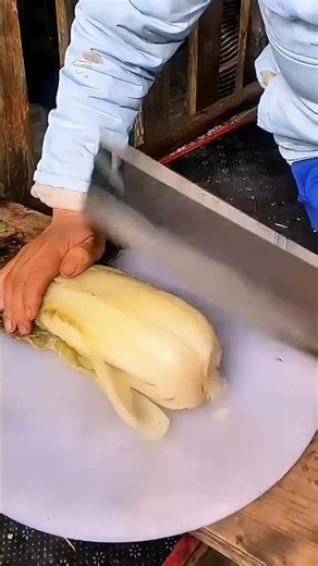 RT73 mini rotary tillage and ridging all-in one tree 🌴