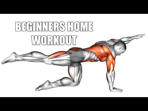 Beginner Home Workout at Home with No Equipment | Easy Full Body Routine