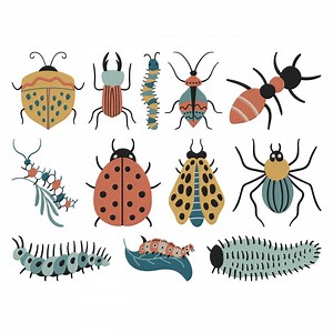 Insects Bugs Bundle Embroidery Design, Insects Bugs Machine Embroidery File, 12 Design, 5 Size, Instant Download - Etsy