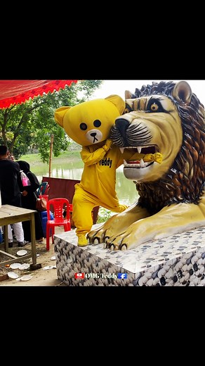 510K views · 10K reactions | teddy vs lion || new video #omgteddy#fyp #viralvideo #trending #funnyreels | OMG Teddy | Facebook